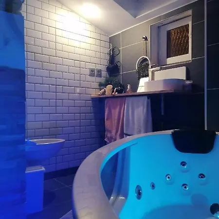 Le Spa Des Canut Appartement Caluire-et-Cuire