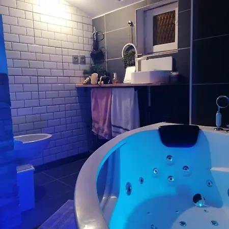 Le Spa Des Canut Apartmán Caluire-et-Cuire