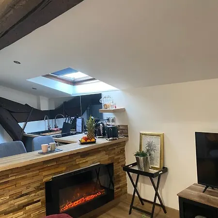 Le Spa Des Canut Appartement *